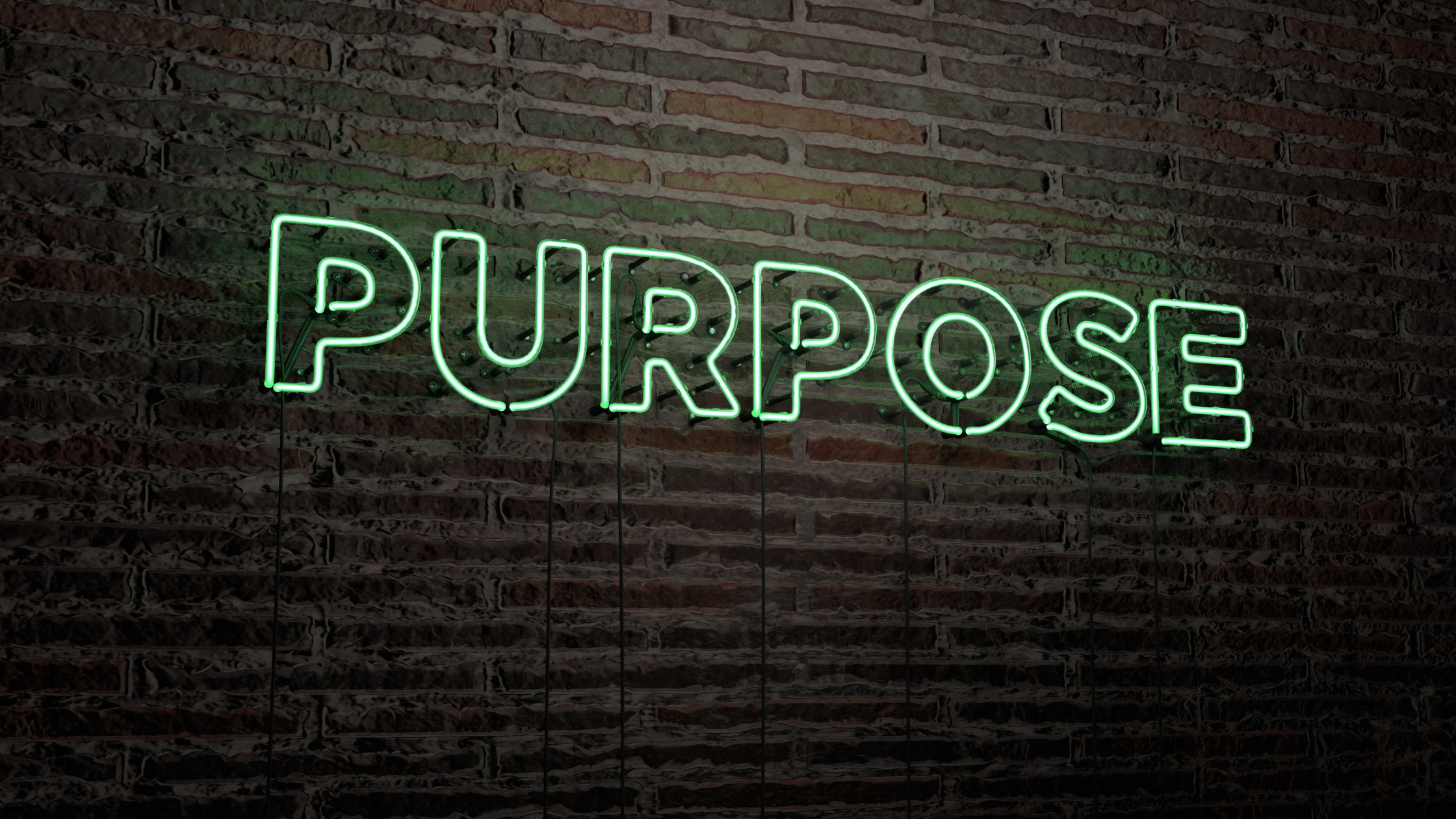 The 4 freedoms that motivate successful franchise owners